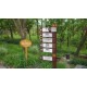 direction sign posts